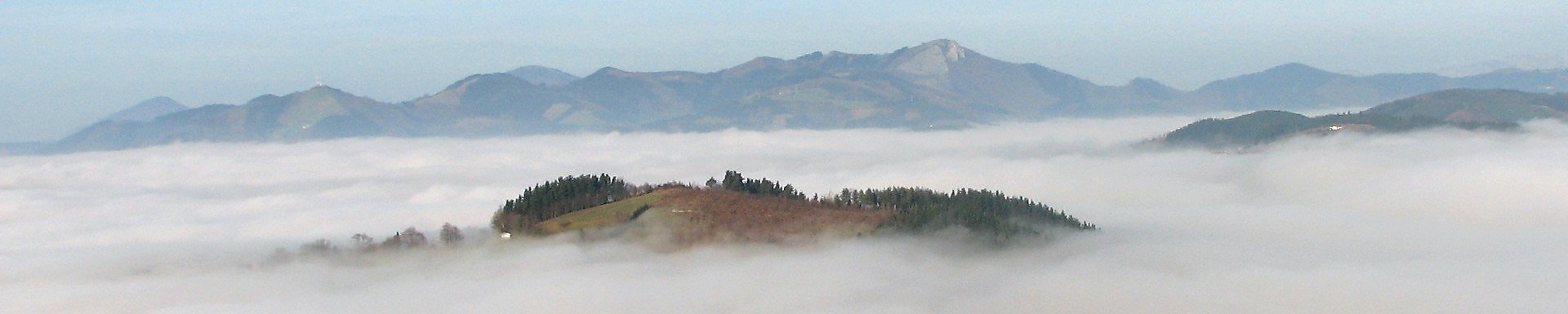 Lo que emerge tras la niebla